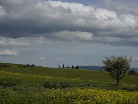 Green hills in the Val d'Orcia